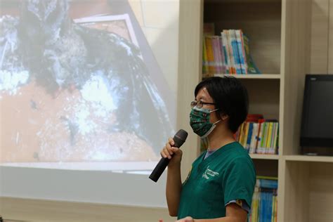 鳥死在屋頂|專訪／被逼得自殺？在滿是玻璃幃幕的都市，鳥兒如何。